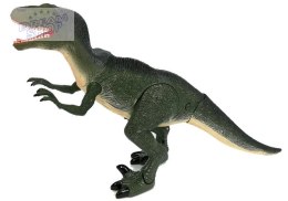 Dinozaur Velociraptor Porusza się Ryczy Świeci