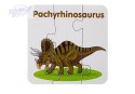 Puzzle edukacyjne przyjaciele dinozaurów 10 el