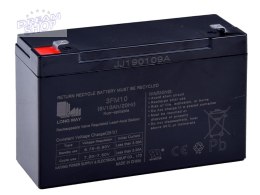 Akumulator żelowy 6V 10Ah SER042