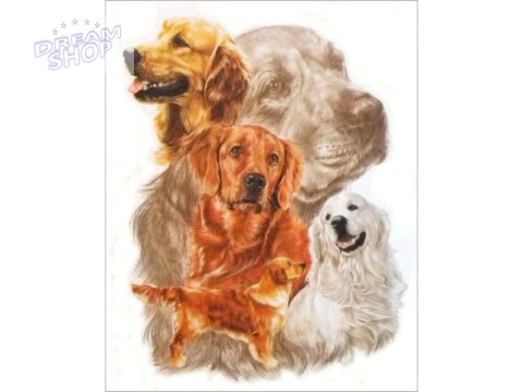 Haft Diamentowy, Obraz, Mozaika Diamentowa Diamond Painting, PIES - GOLDEN RETRIEVER 30x40cm