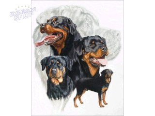 Haft Diamentowy, Obraz, Mozaika Diamentowa Diamond Painting, PIES - ROTTWEILER 30x40cm