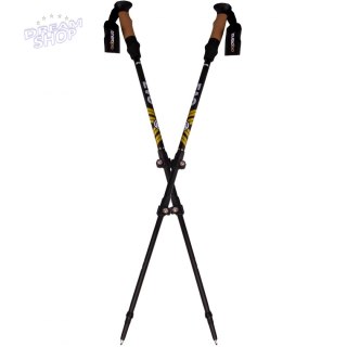 Kije Nordic walking w pokrowcu EVO Enero Pro czarny mat