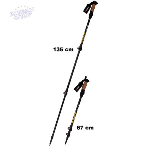 Kije Nordic walking w pokrowcu EVO Enero Pro czarny mat