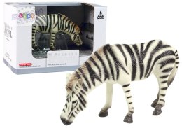 Duża Figurka Kolekcjonerska Zebra Zwierzęta Świata