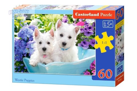 Puzzle 60 el. Westie Puppies