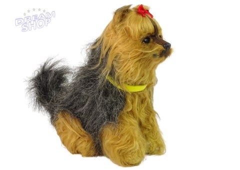 Interaktywny Pies Piesek Yorkshire terrier York Pluszowy Szczeka Rusza Ogonem