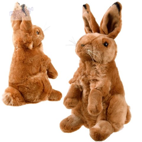 Maskotka Zając siedzący pluszowy królik 25cm 13463 Maskotka Zając siedzący pluszowy królik 25cm 13463