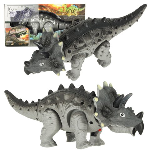 Dinozaur Triceratops chodzi świeci ryczy Dinozaur Triceratops chodzi świeci ryczy