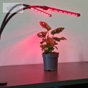 Lampa 20 LED 2szt. do wzrostu roślin Gardlov 19241