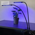 Lampa 20 LED 2szt. do wzrostu roślin Gardlov 19241