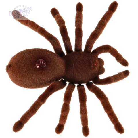 Pająk TARANTULA Zdalnie Sterowany + PILOT