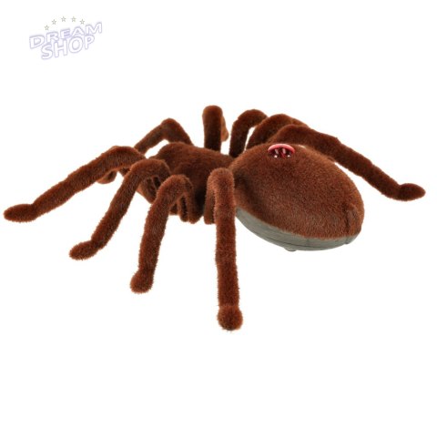 Pająk TARANTULA Zdalnie Sterowany + PILOT