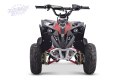 Pojazd Quad Spalinowy RENEGADE HighPer 110CC Czerwony