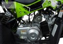 Pojazd Quad Spalinowy RENEGADE HighPer 110CC Zielony