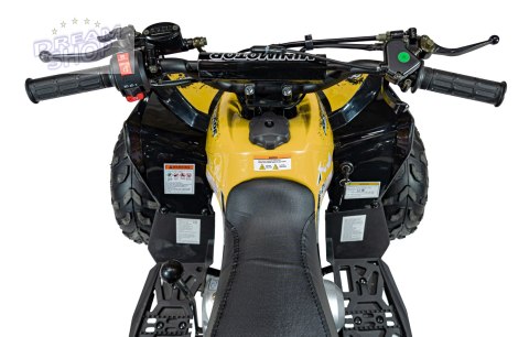 Pojazd Quad Spalinowy RENEGADE HighPer 110CC Żółty