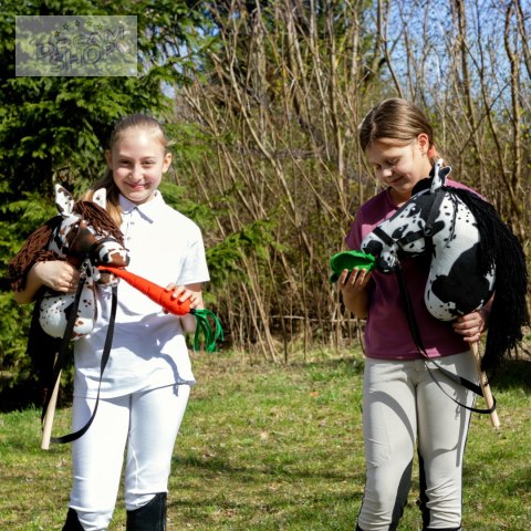 Smaczki dla Hobby Horse - marchewka kapusta jabłko rzodkiewka cukier