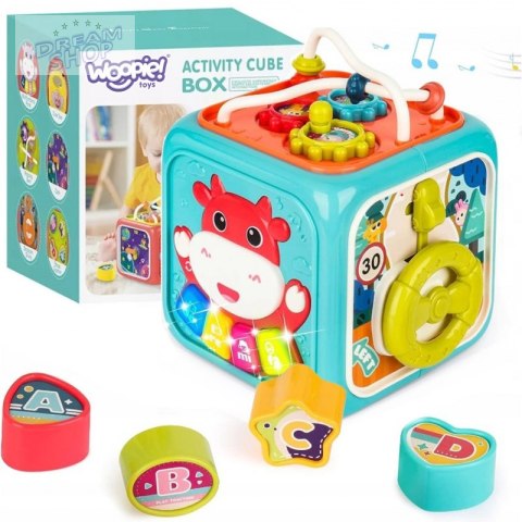 WOOPIE Kostka Sensoryczna Edukacyjna Montessori Sorter 6w1