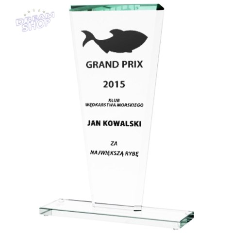 Trofeum szklane grawerowane + wypełnienie farbą Trofeum szklane grawerowane + wypełnienie farbą