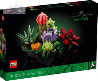 LEGO 10309 Creator Sukulenty