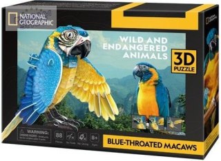 Puzzle 3d National Geographic Ara Szafirowa