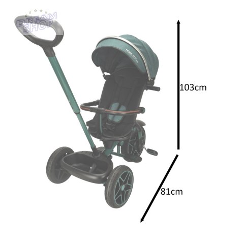 Rowerek trójkołowy TRIKE FIX Elite zielony